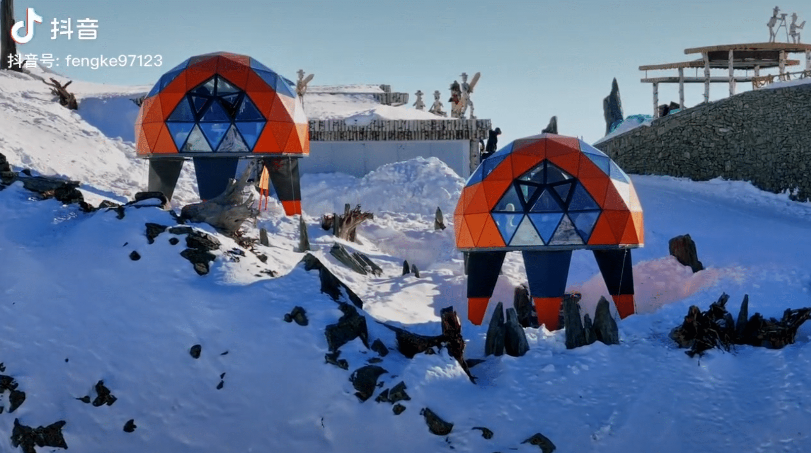 2024 11 12 08 48 IMG 4959