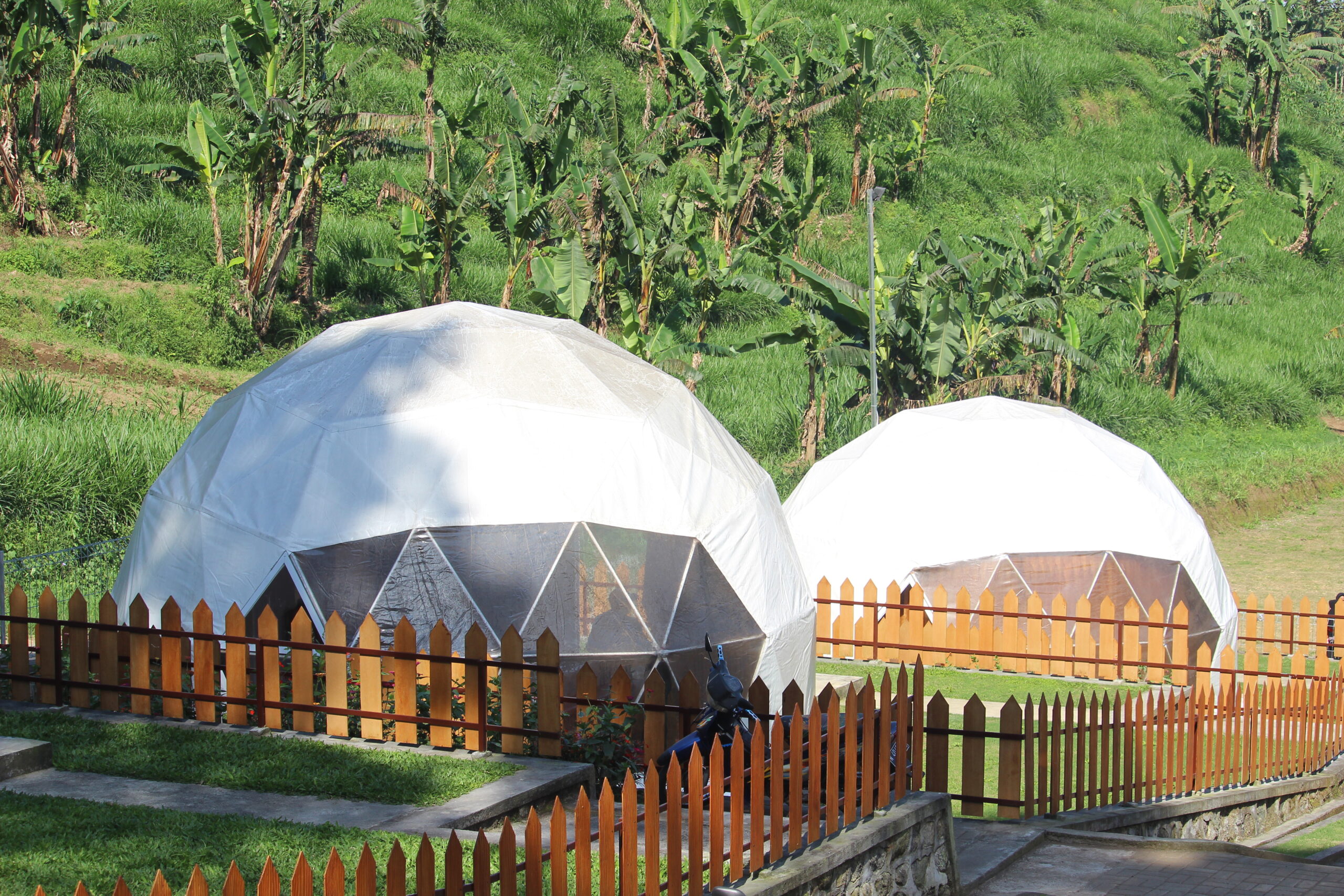 two dome homes infront of a jungle
